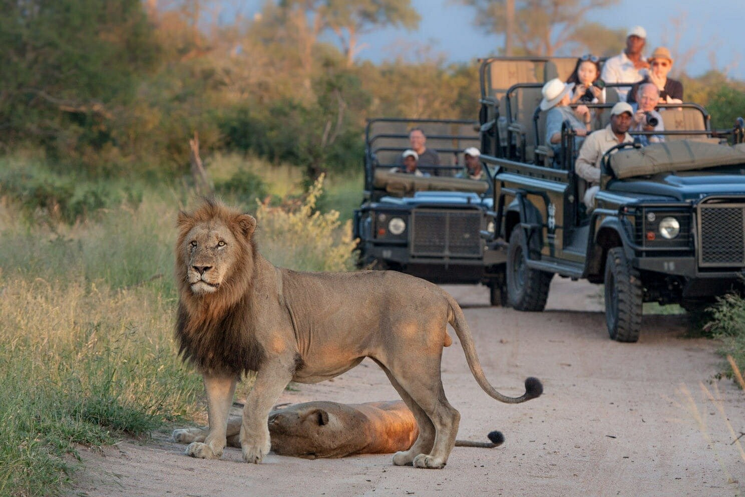 Tanzania Wildlife